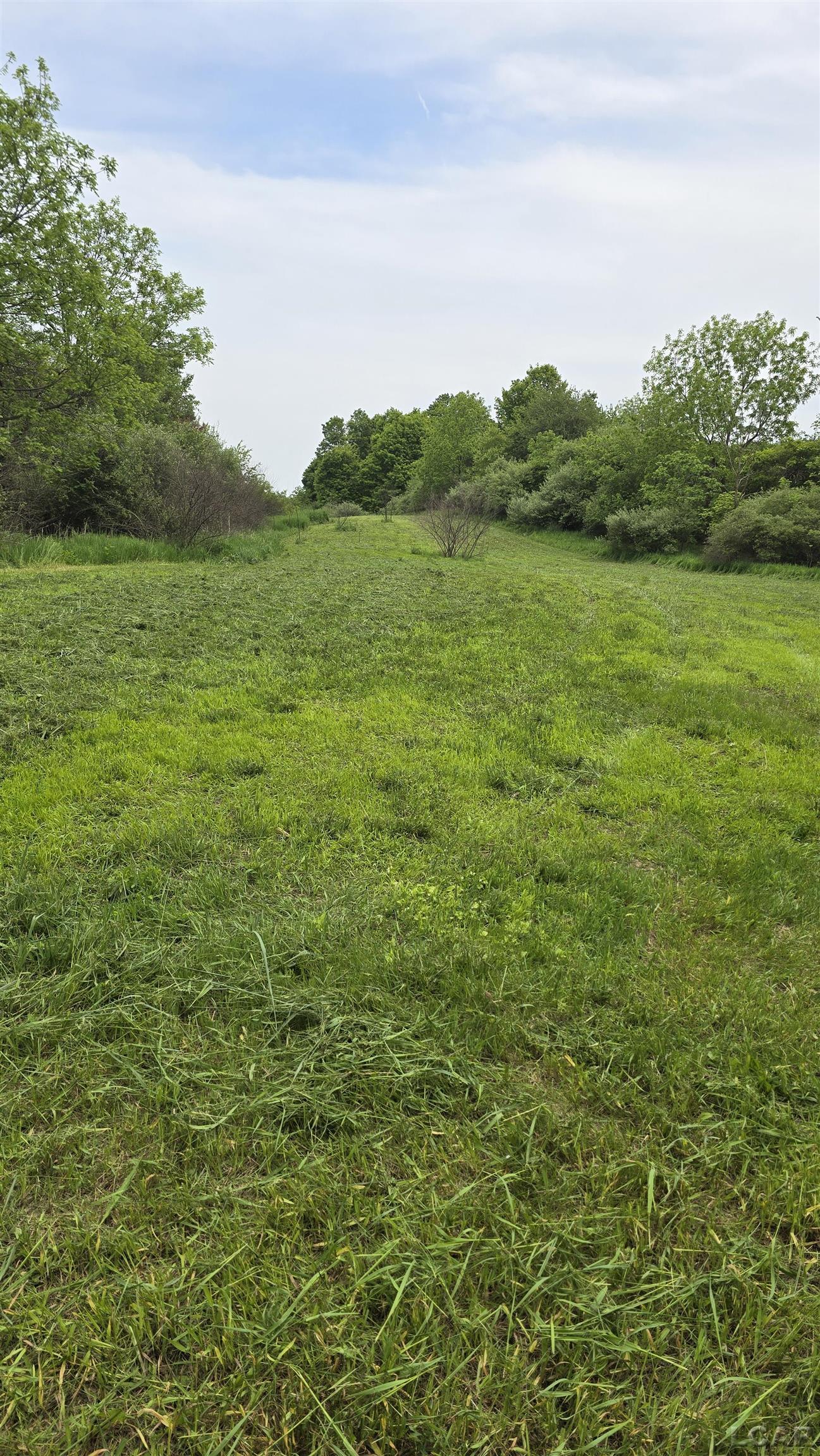 12000 Burton Road Manitou Beach, MI 49253 - Photo 9 of 9