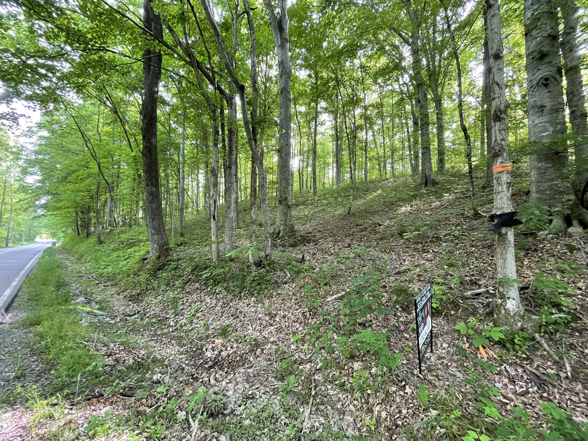 1284 Rogues Fork Road Bethpage, TN 37022 - Photo 1 of 4 a view of outdoor space and green space