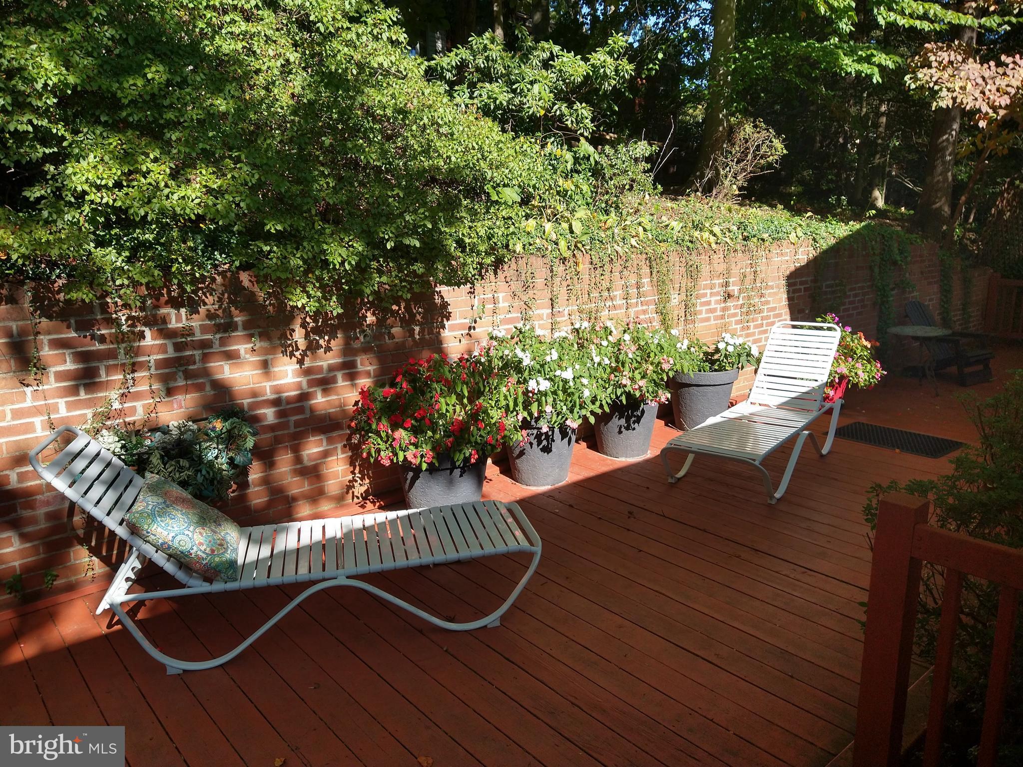 1932 Kimberly Road Silver Spring, MD 20903 - Photo 52 of 77