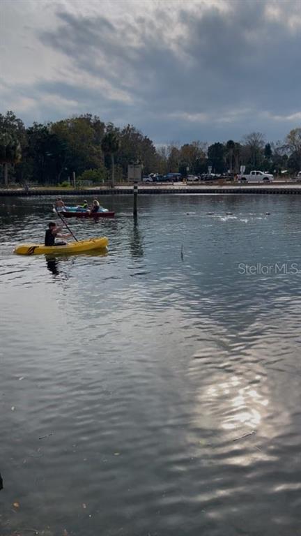 5400 Circle Drive Weeki Wachee, FL 34607 - Photo 7 of 14 a view of swimming pool with lake view and mountain view
