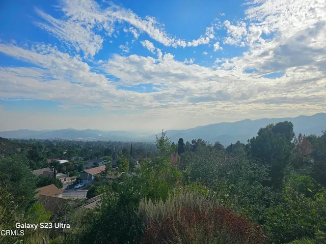 a view of a bunch of trees in a yard