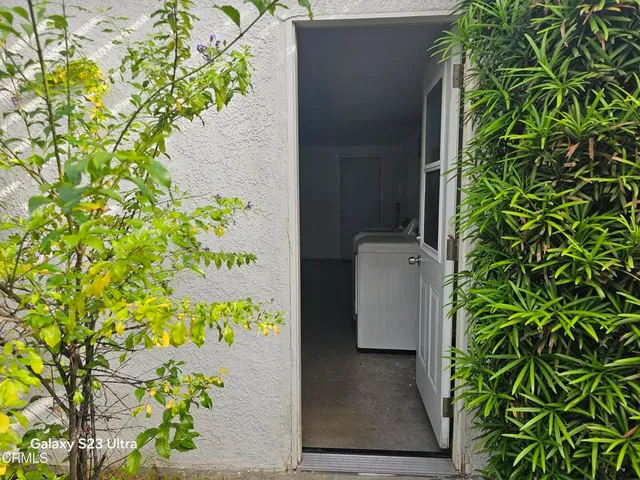 view of a potted plant in front of a door
