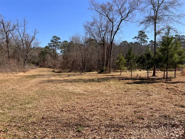 a view of outdoor space with trees