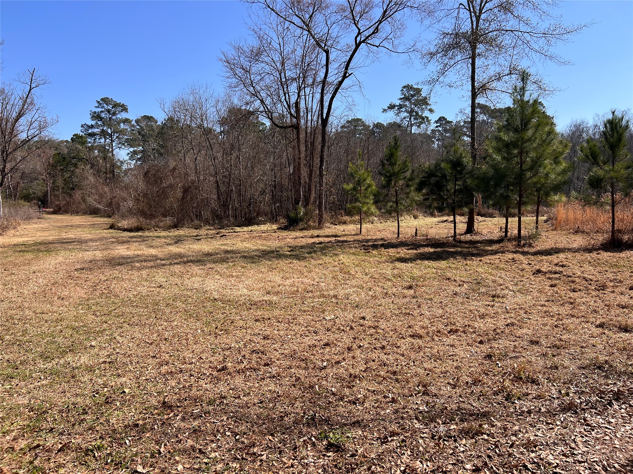 215 Garden West Conroe, TX 77304 - Photo 12 of 14
