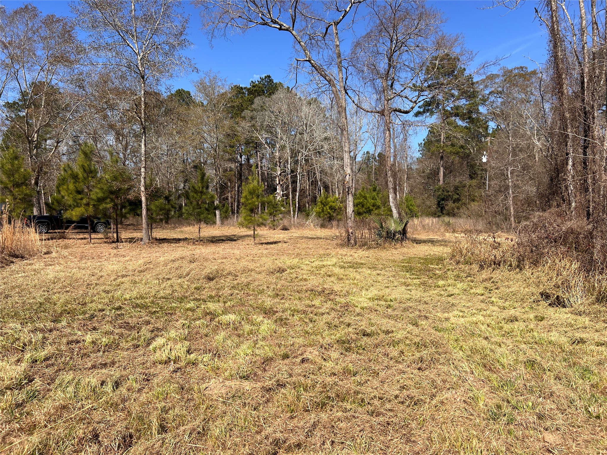 215 Garden West Conroe, TX 77304 - Photo 13 of 14