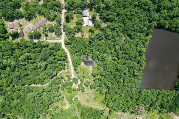 a view of a garden