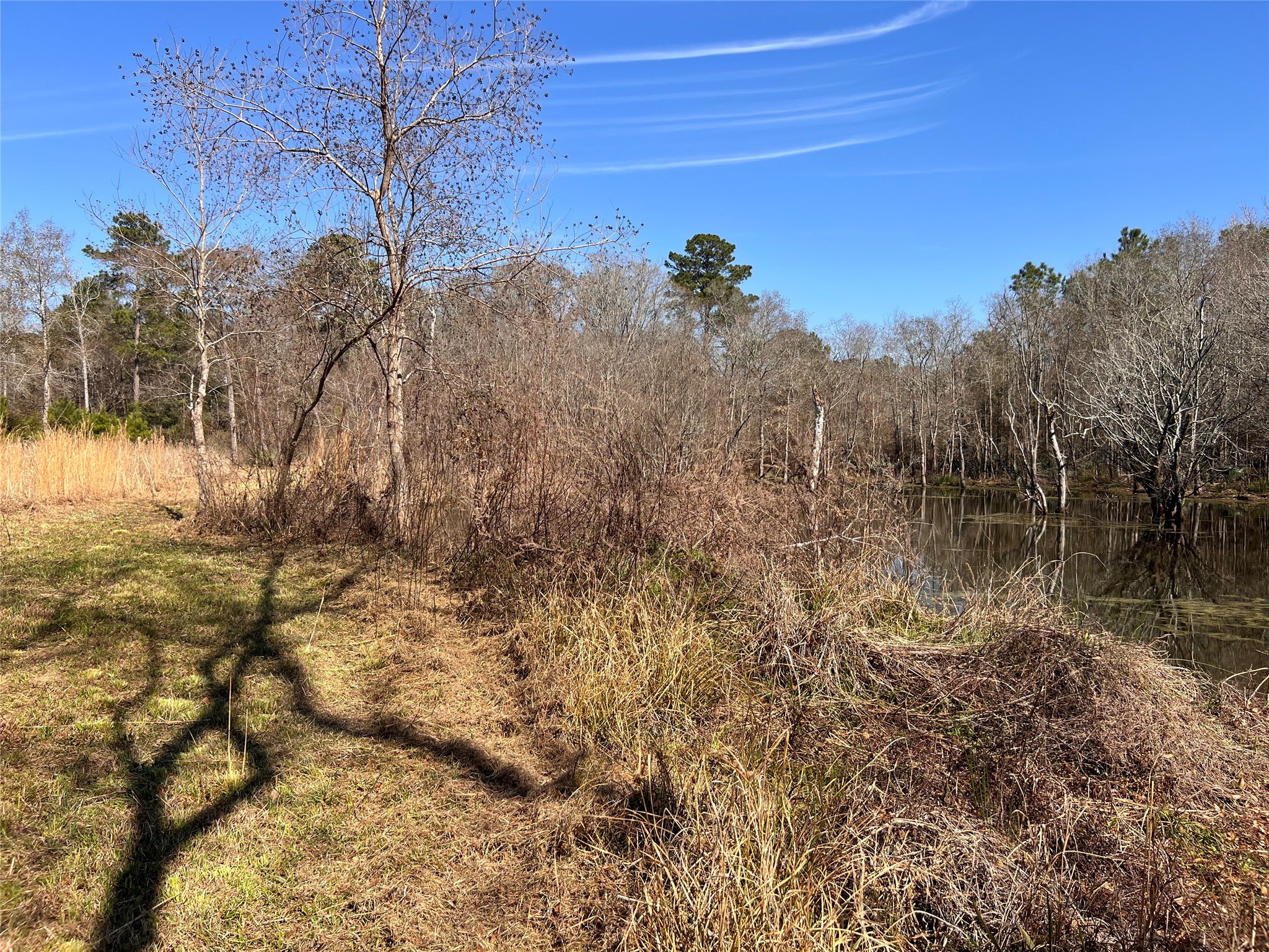 215 Garden West Conroe, TX 77304 - Photo 10 of 14