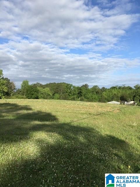 0 Highway 231, Unit 1 5 Oneonta, AL 35121 - Photo 16 of 23