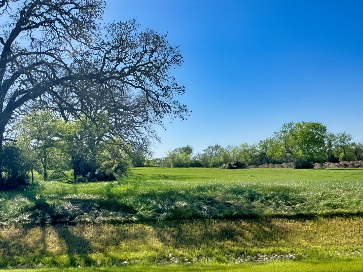 a view of a garden with a lake