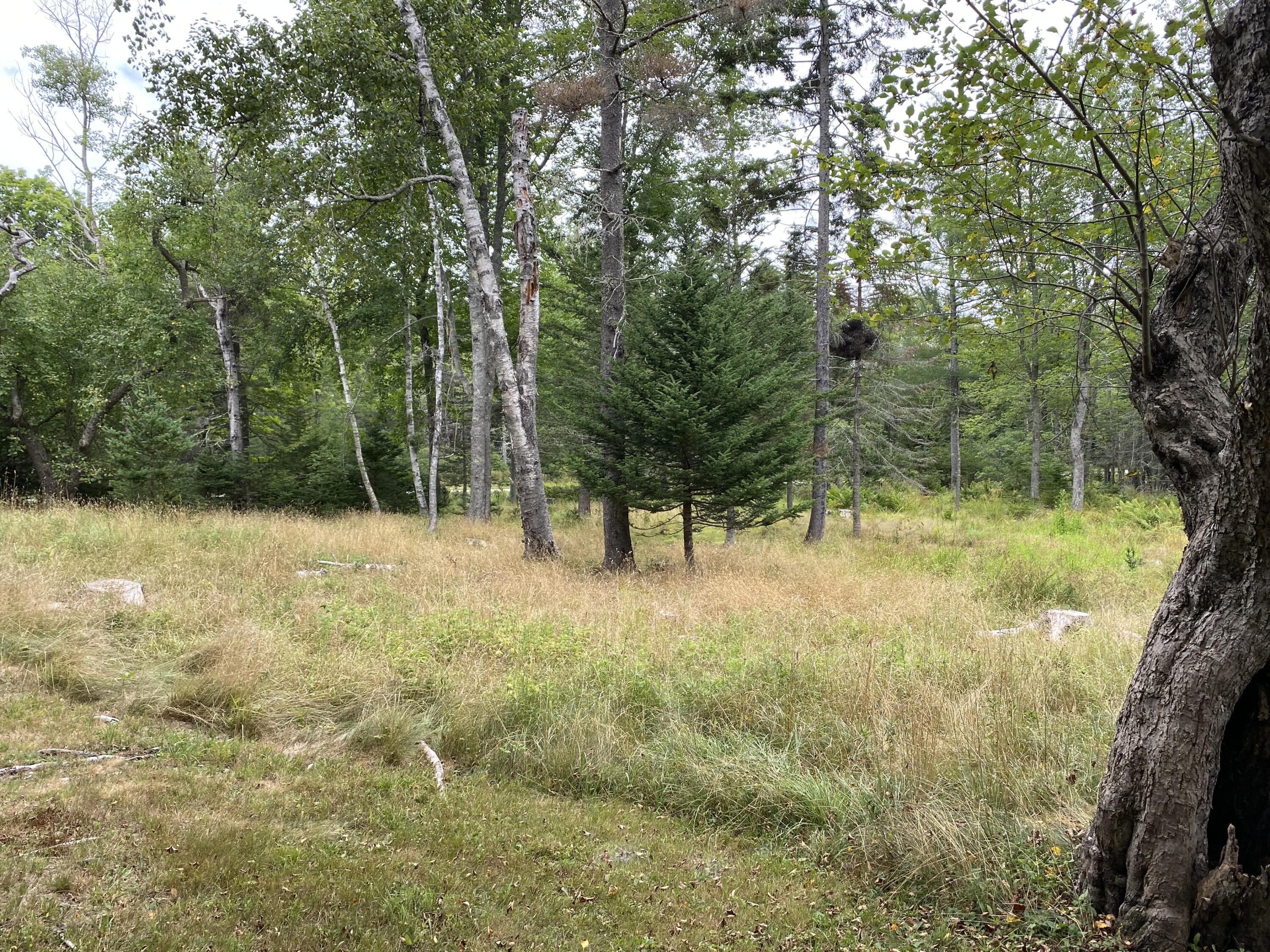 1574 Main Road Islesboro, ME 04848 - Photo 51 of 57 Field