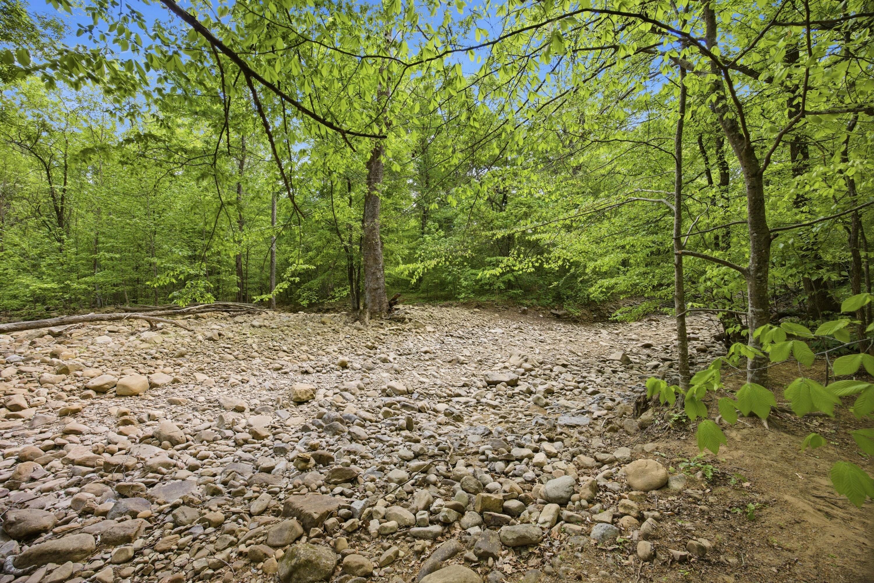 134 Old Union Road Dunlap, TN 37327 - Photo 38 of 51 39-IMG_9177