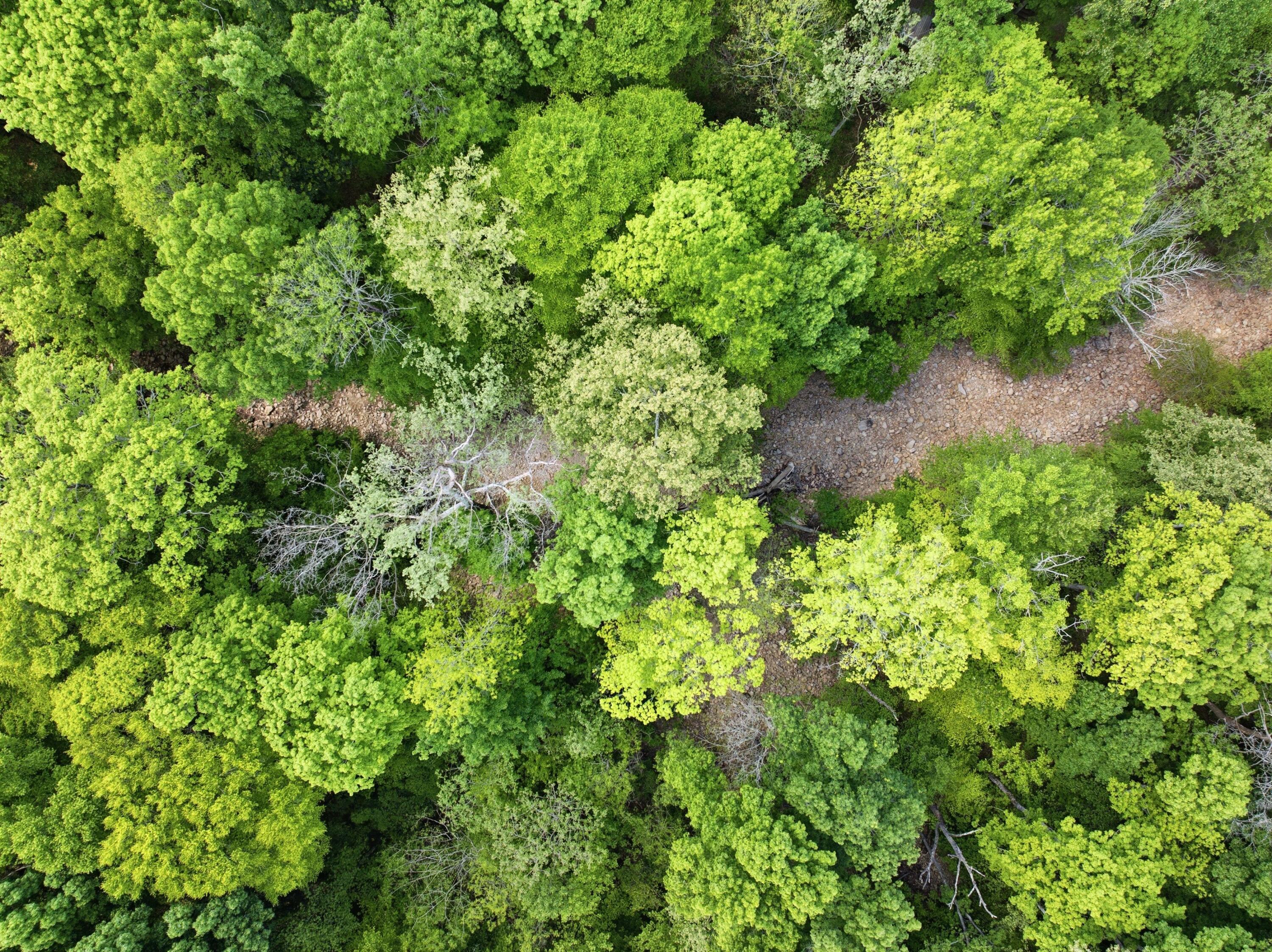 134 Old Union Road Dunlap, TN 37327 - Photo 45 of 51 46-DJI_20260420145433_0500_D