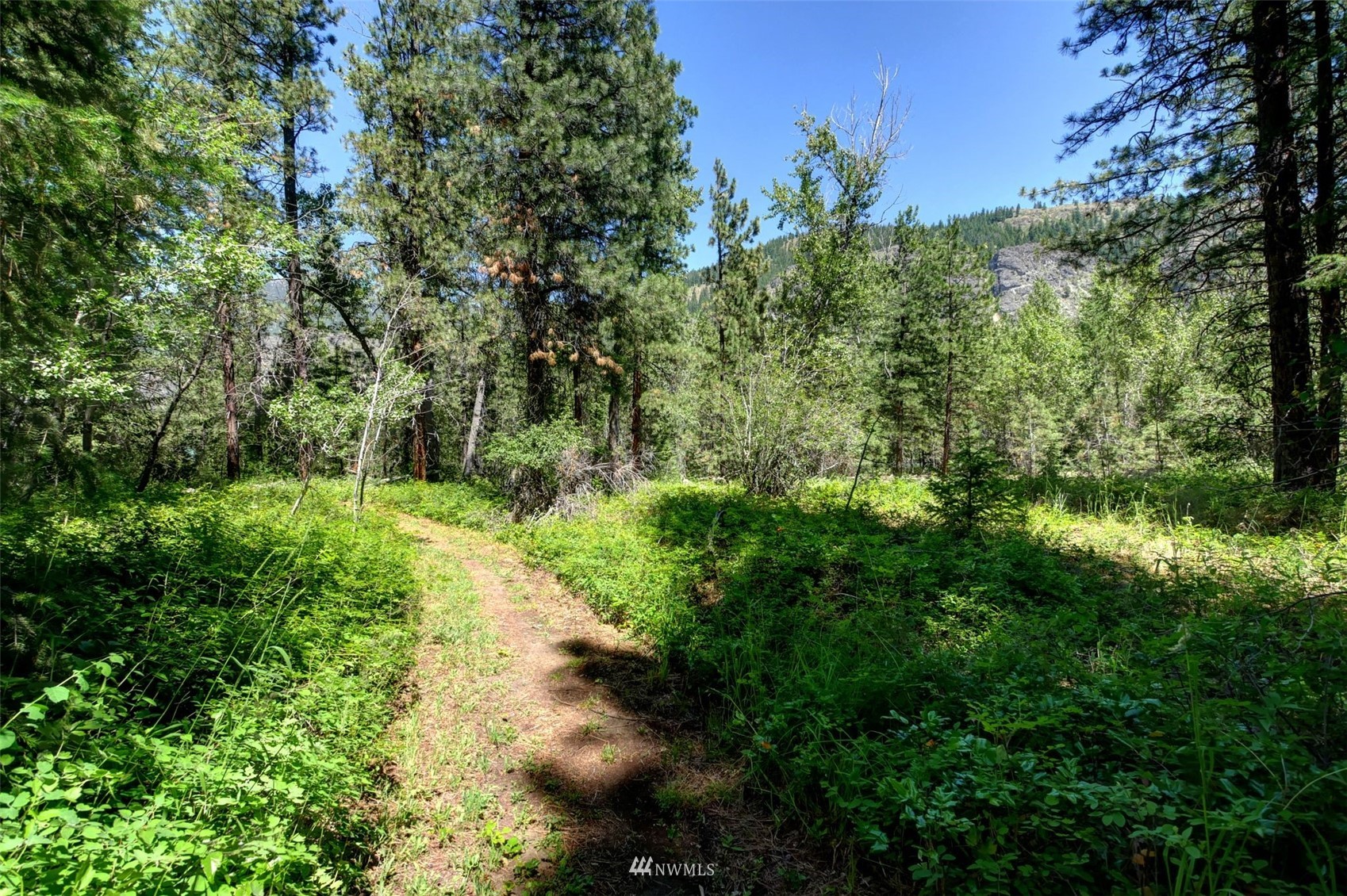 25 Deer Run Loop Road Winthrop, WA 98862 - Photo 4 of 39 Gallery Image 4