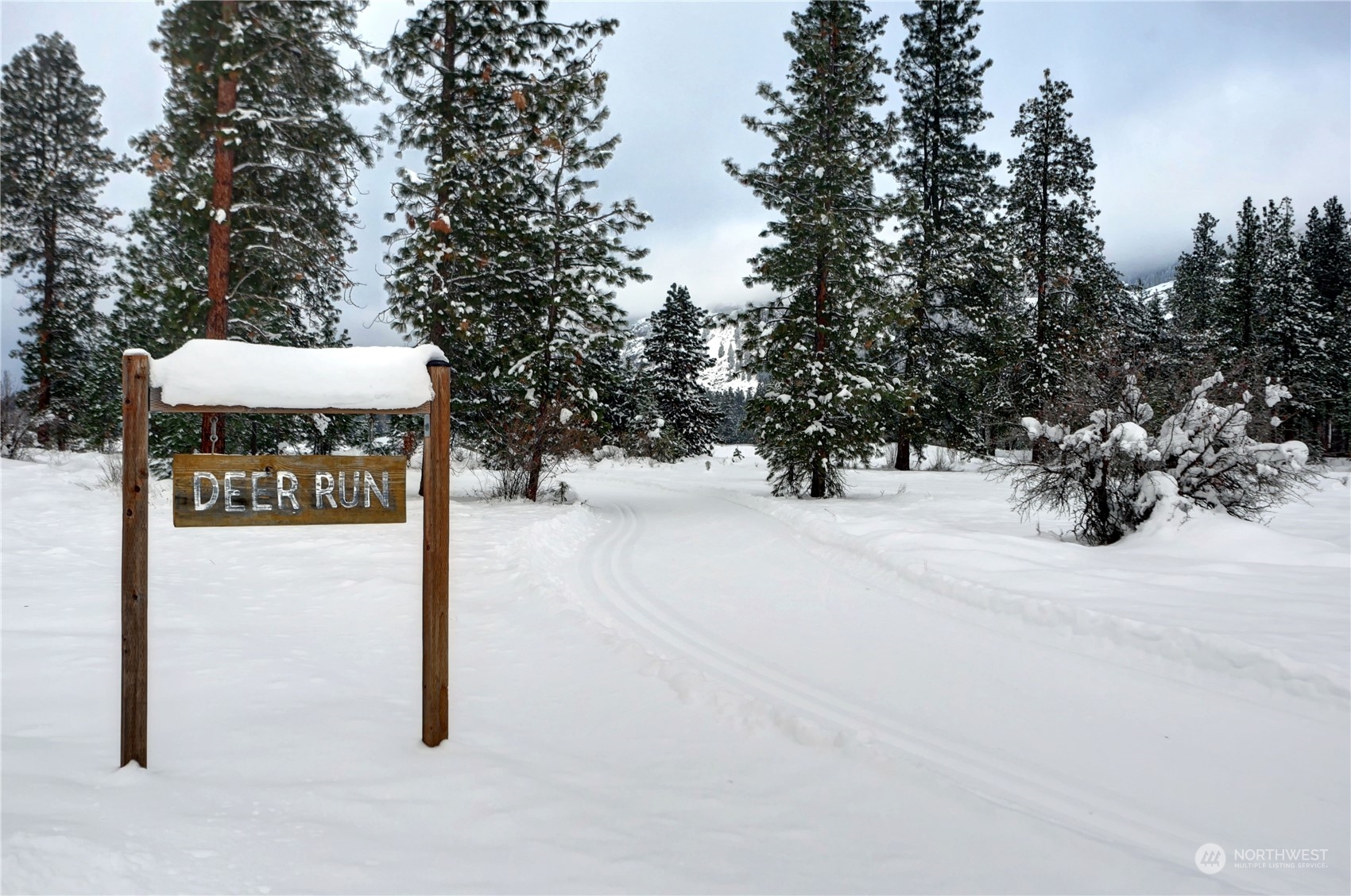 25 Deer Run Loop Road Winthrop, WA 98862 - Photo 10 of 39 Gallery Image 10