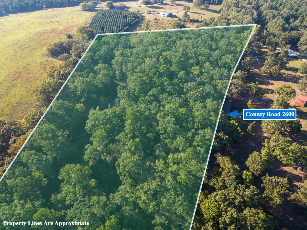 1 County Road 2600 Mount Pleasant, TX 75455 - Photo 2 of 6 a view of a garden
