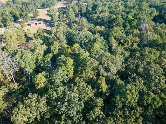 an aerial view of residential house with outdoor space and trees