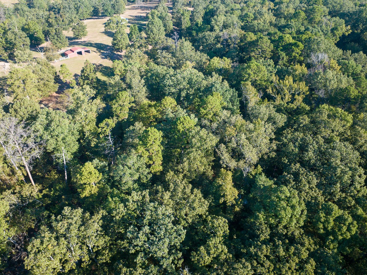 1 County Road 2600 Mount Pleasant, TX 75455 - Photo 3 of 6 an aerial view of residential house with outdoor space and trees