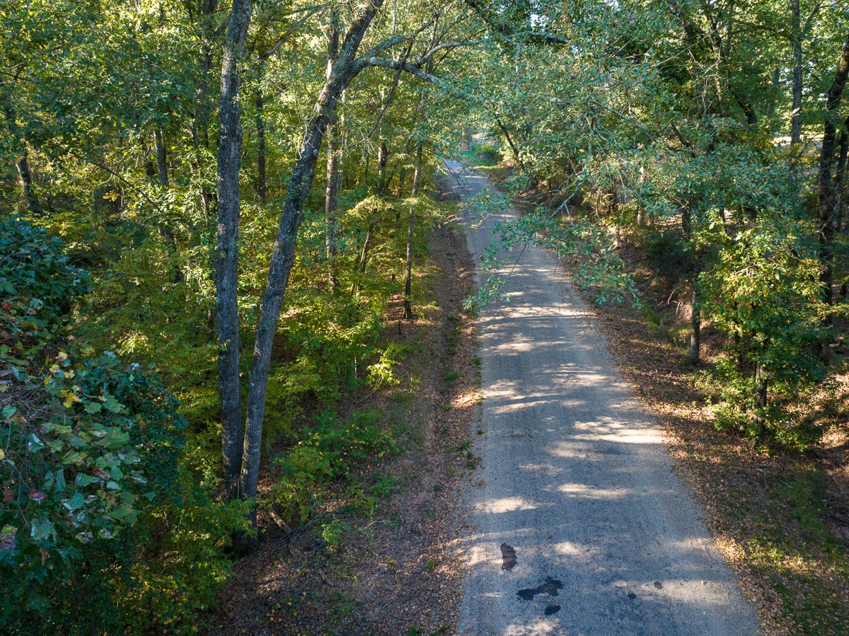 1 County Road 2600 Mount Pleasant, TX 75455 - Photo 4 of 6 a backyard of a house with lots of green space