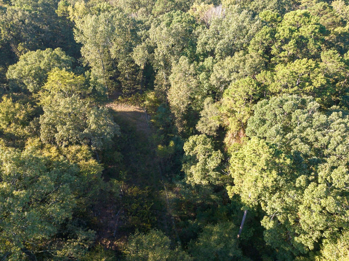 1 County Road 2600 Mount Pleasant, TX 75455 - Photo 5 of 6 a view of a tree