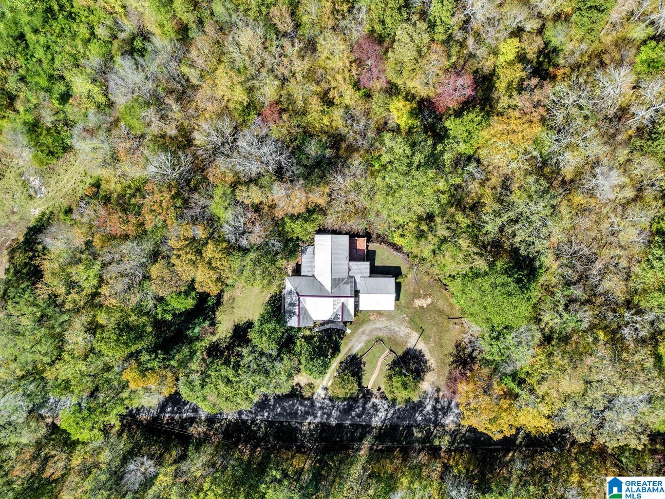 421 Tubbs Hill Road Oakman, AL 35579 - Photo 46 of 49