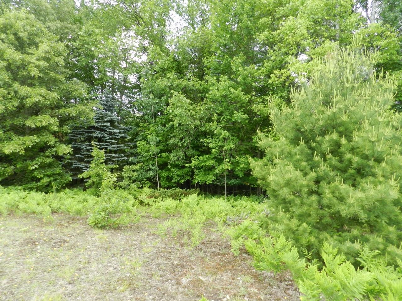 0 Riley Whitehall, MI 49461 - Photo 26 of 26
