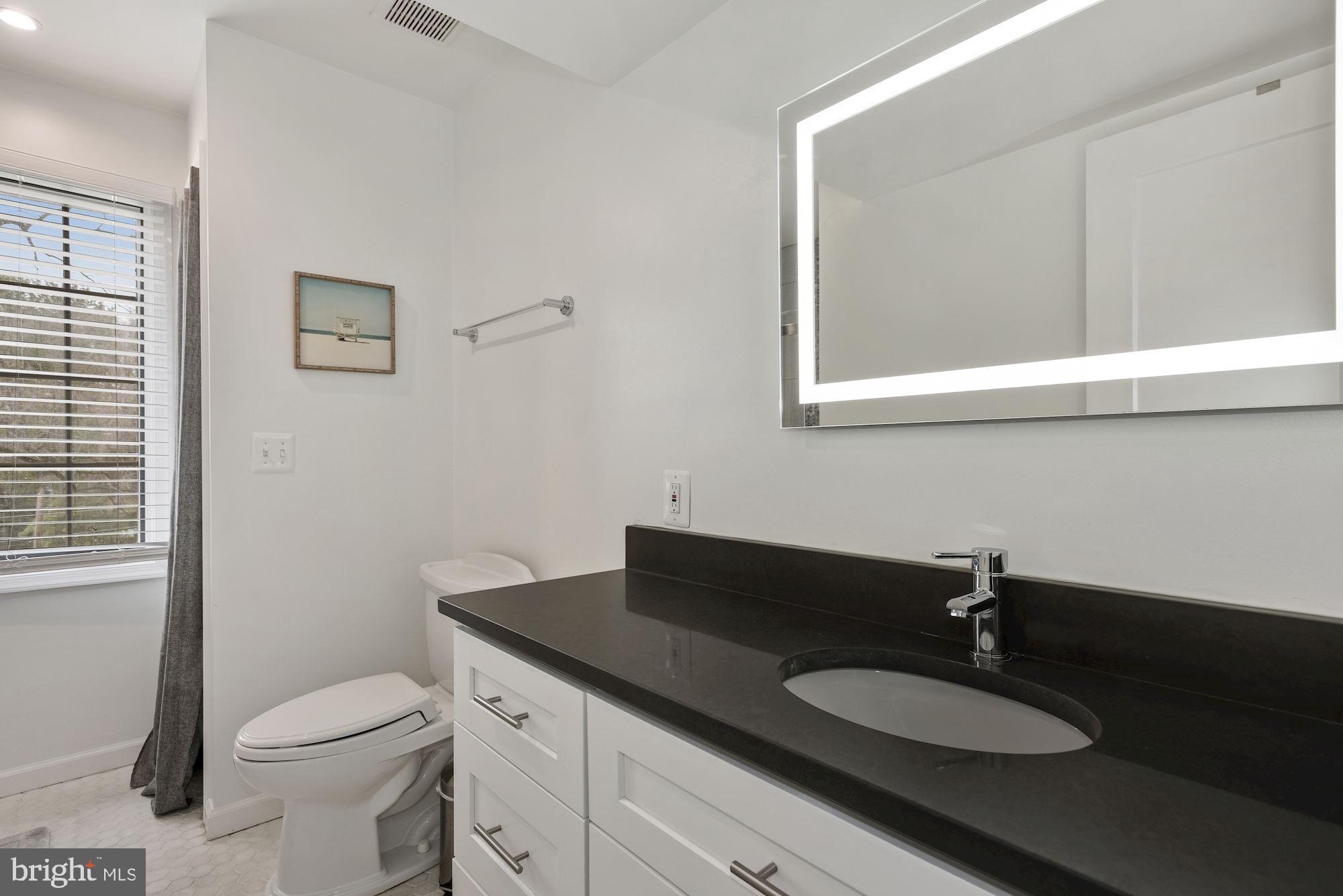 6313 Old Chesterbrook Road McLean, VA 22101 - Photo 41 of 51 Full Bath