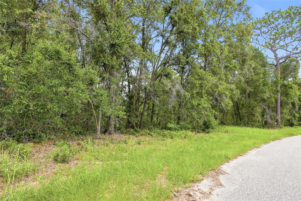 7002 North Castlebury Road Hernando, FL 34442 - Photo 7 of 29