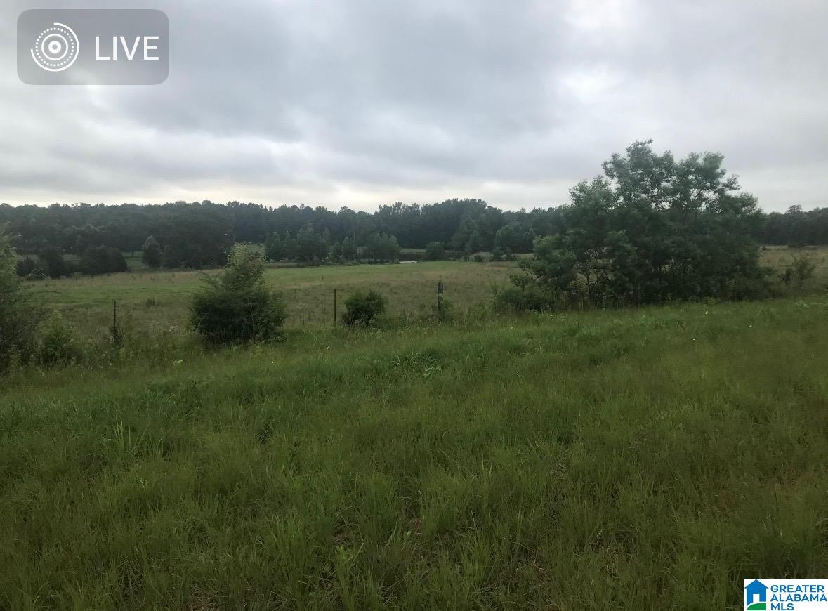 0 New Harmony Road, Unit 35 ACRES / Clanton, AL 35045 - Photo 18 of 21