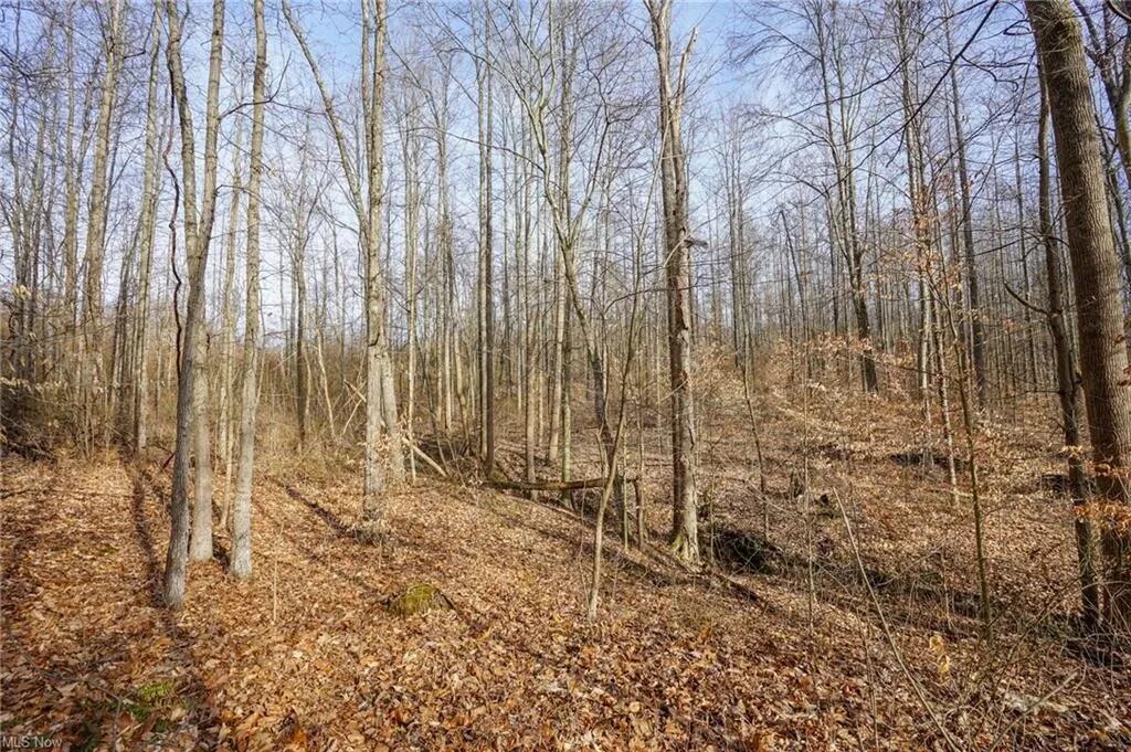0 Bush Road Northwest Crooksville, OH 43731 - Photo 1 of 7 Picture8