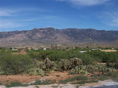 4697 East Rail N Road Tucson, AZ 85739 - Photo 5 of 5