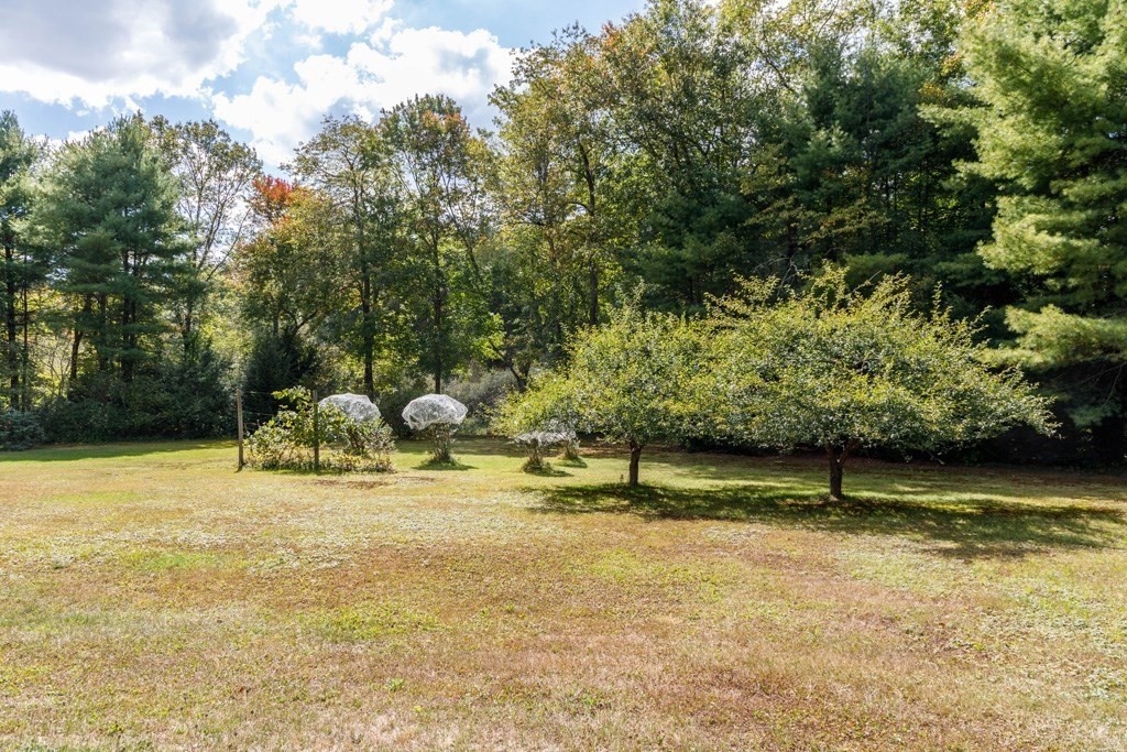 260 E Road Orange, MA 01364 - Photo 24 of 35