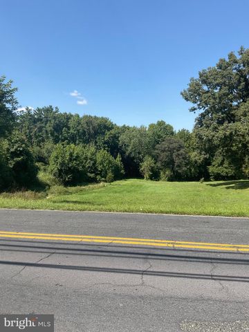 a view of a yard from a window