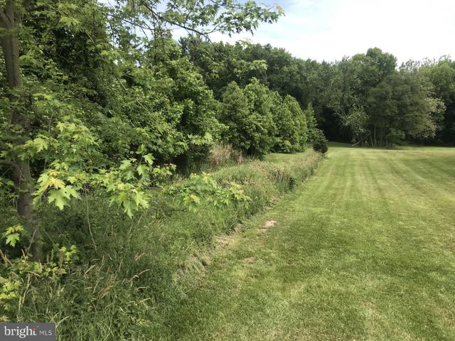 a view of a big yard with large trees