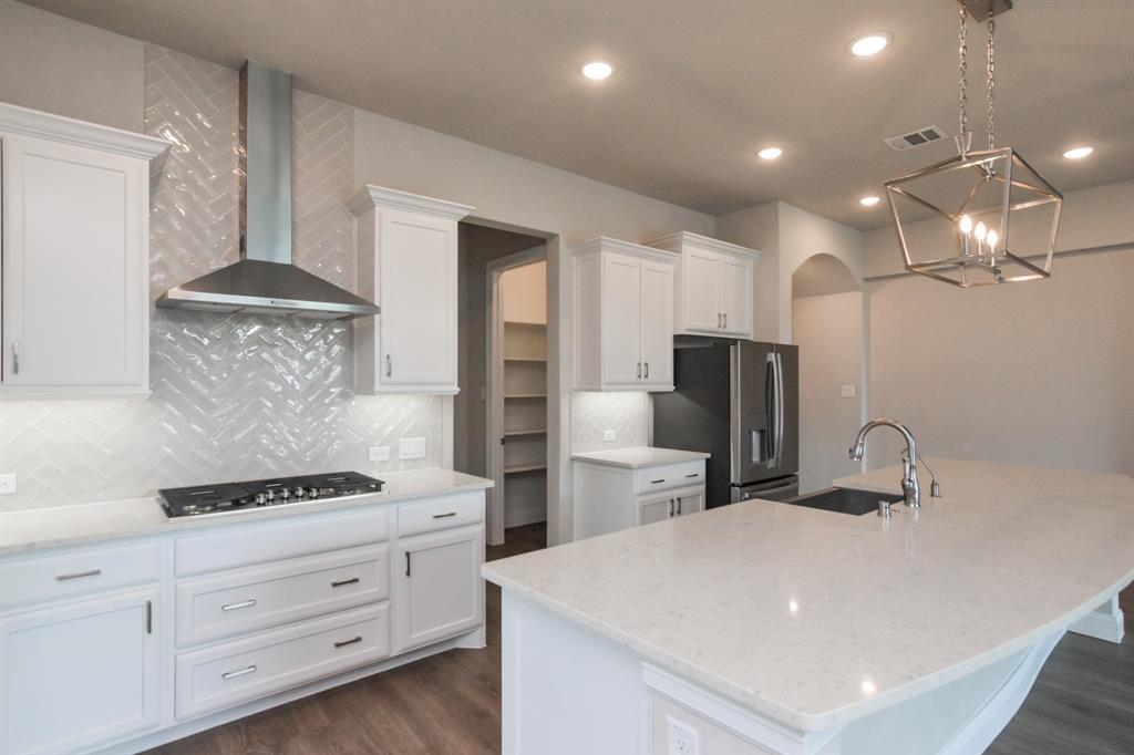 16696 Trumpet Vine Road Frisco, TX 75033 - Photo 3 of 29