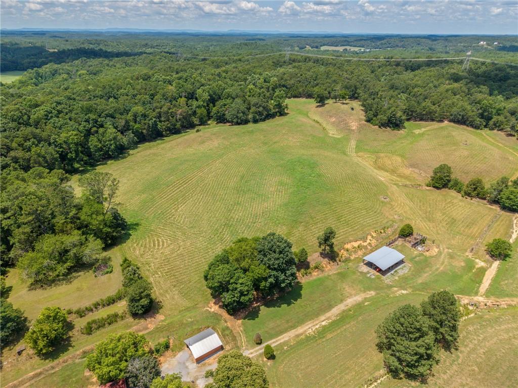 0 Mt Pleasant Road Northeast Fairmount, GA 30139 - Photo 15 of 35