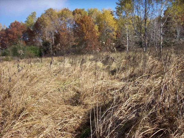 $249,000 | Wilcox, Portage, WI 53901