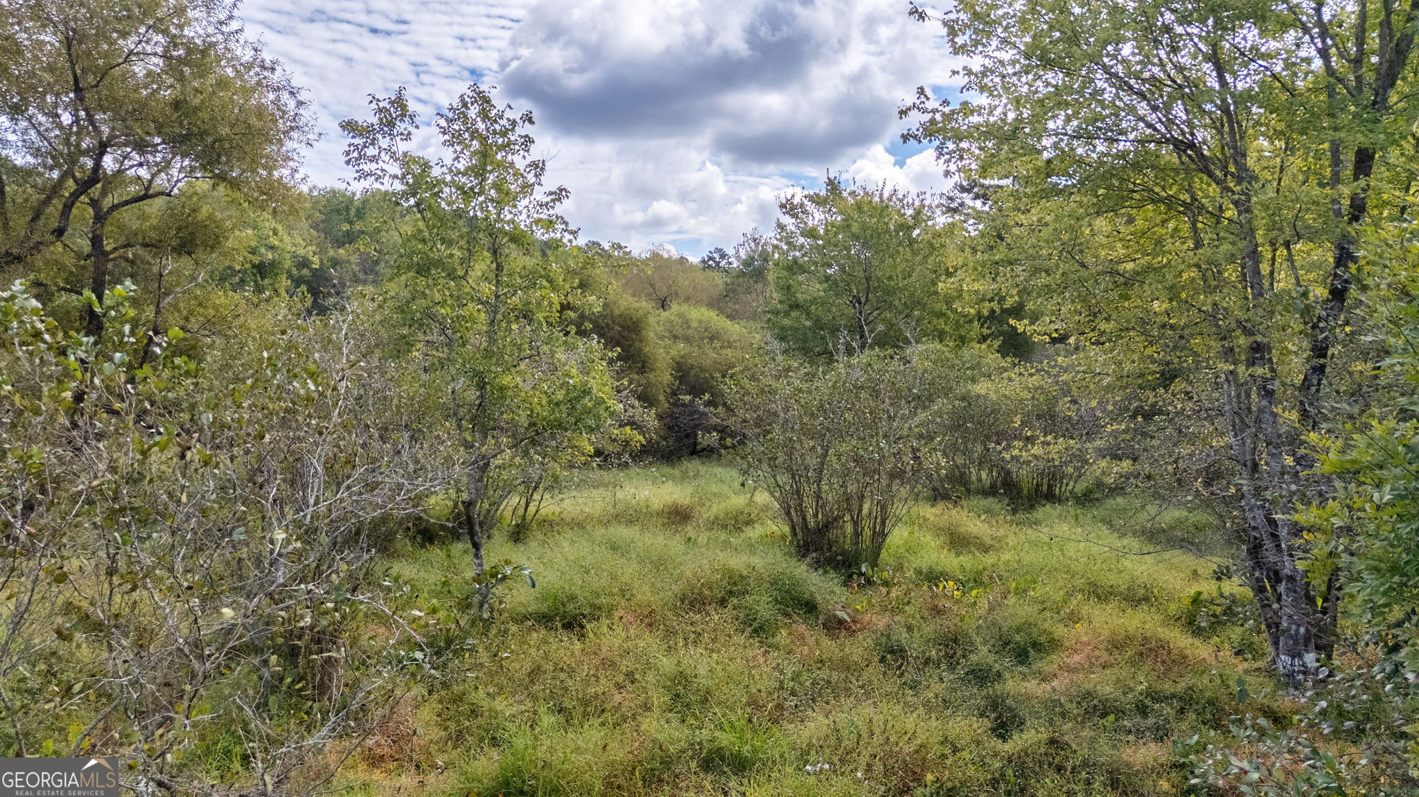 0 Old Salem Road, Unit TRACT 3 Watkinsville, GA 30677 - Photo 6 of 9