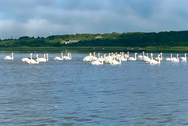a view of a terrace with furniture and wooden floor