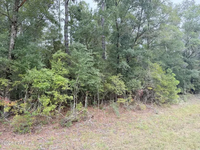 $19,999 | Xxx Shell Landing Road, Vernon, FL 32462