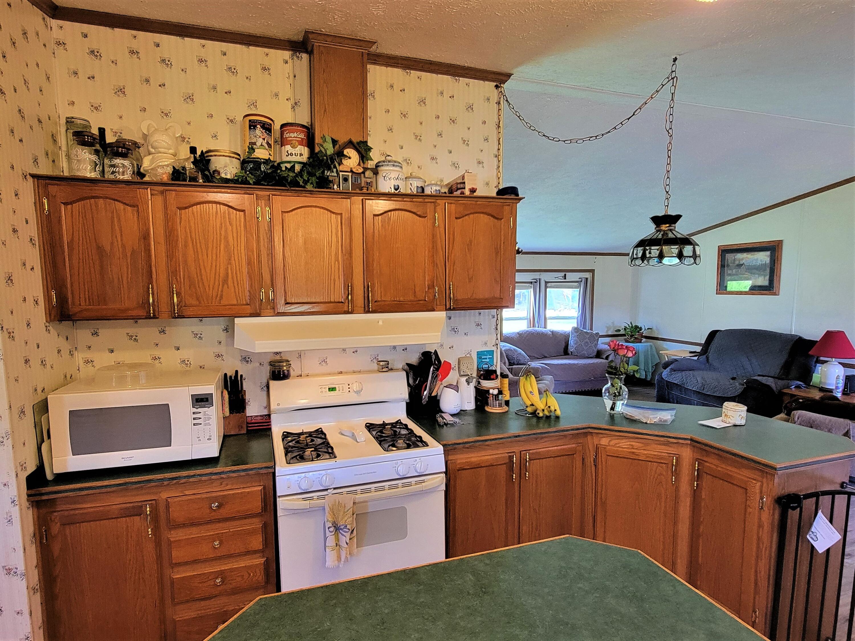 325 East County Line Road Crystal, MI 48818 - Photo 16 of 30 16-Kitchen1