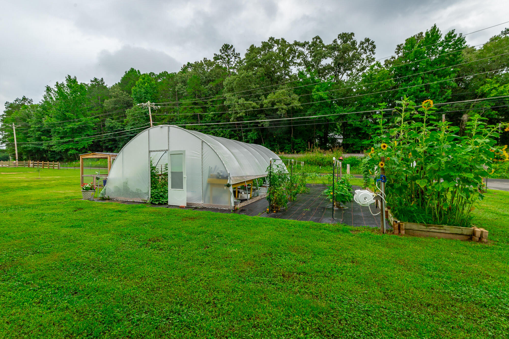 173 Lytle Road Rossville, GA 30741 - Photo 31 of 43 173 Lytle Road HD-47