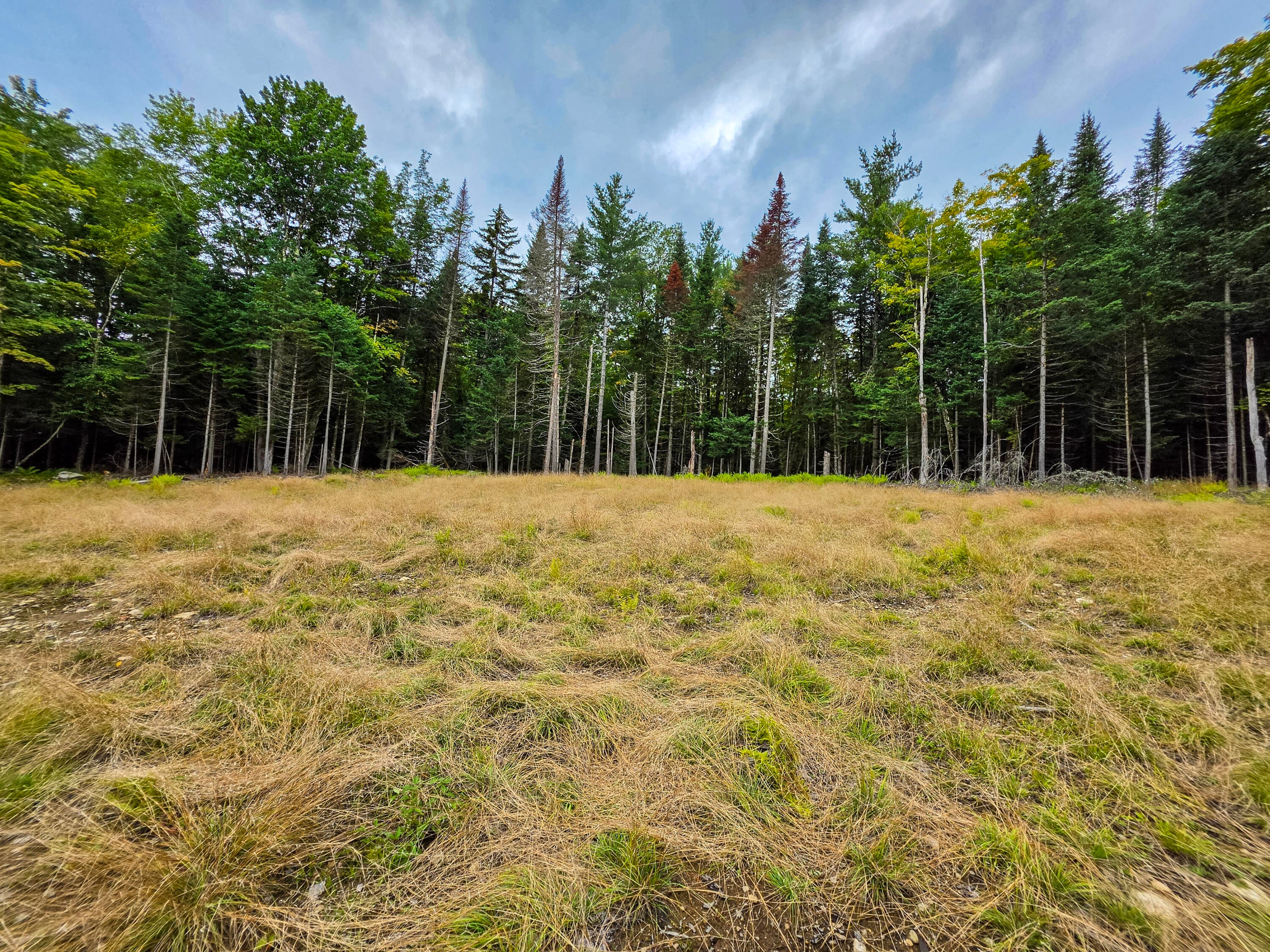 19 Uncas Road Inlet, NY 13360 - Photo 9 of 12 Gallery Image 9