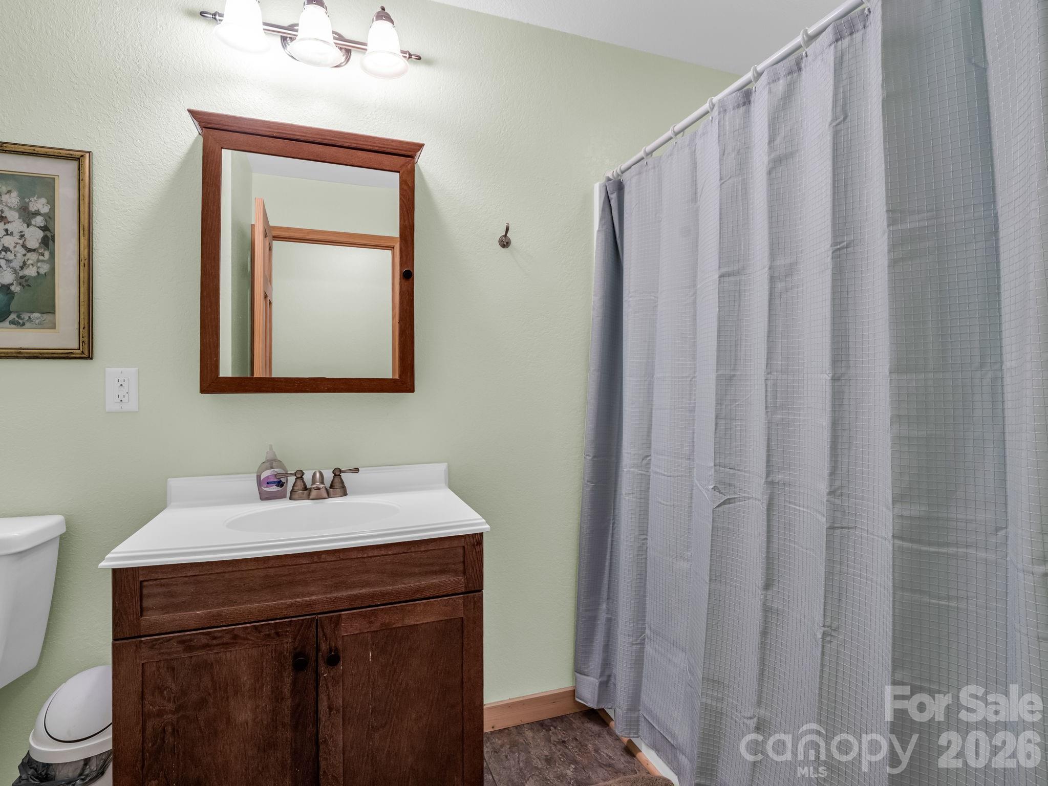 1050 Cross Ridge Drive Rutherfordton, NC 28139 - Photo 28 of 48 a bathroom with a sink a toilet and mirror