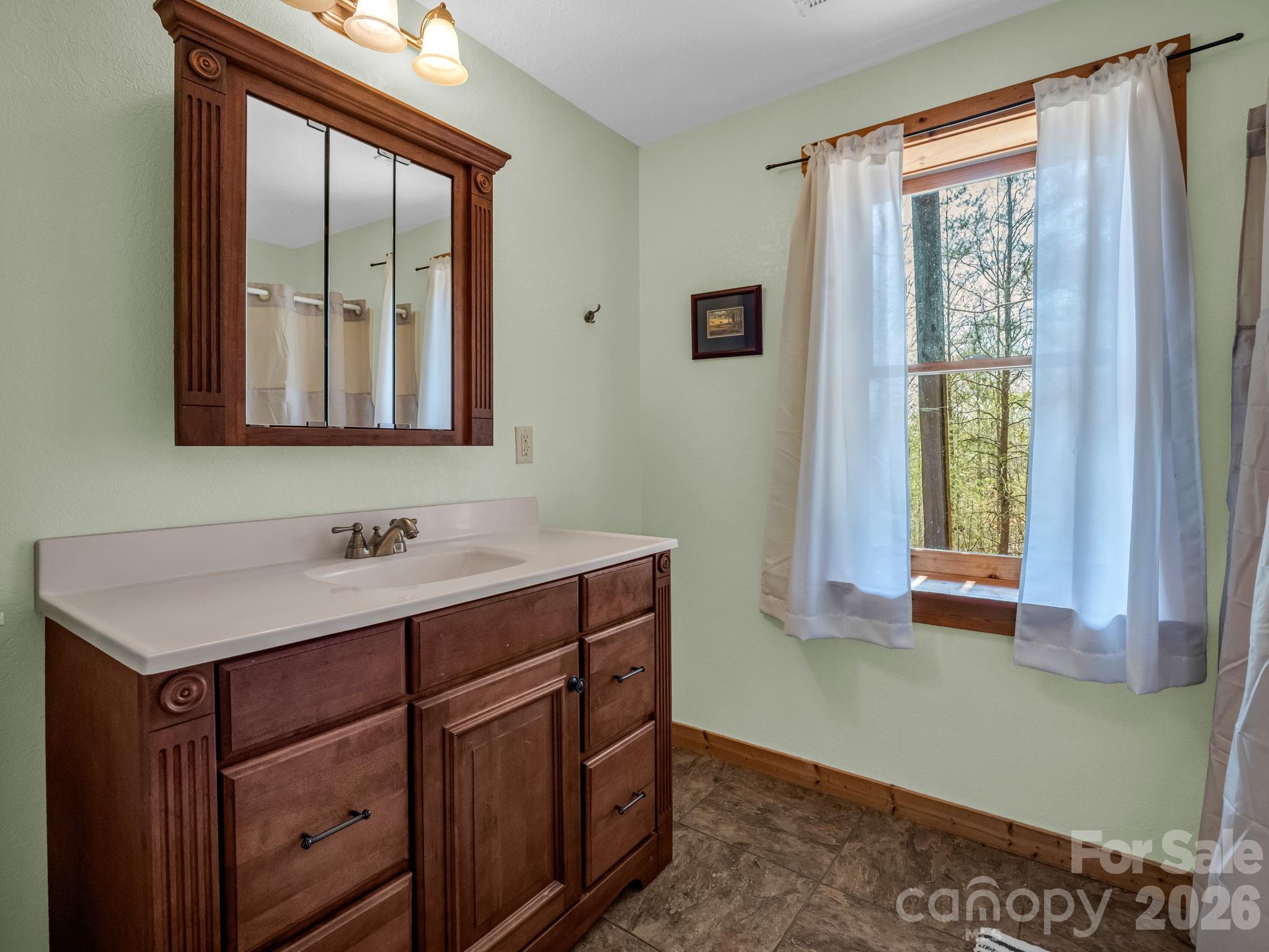1050 Cross Ridge Drive Rutherfordton, NC 28139 - Photo 40 of 48 a bathroom with a sink mirror and a window