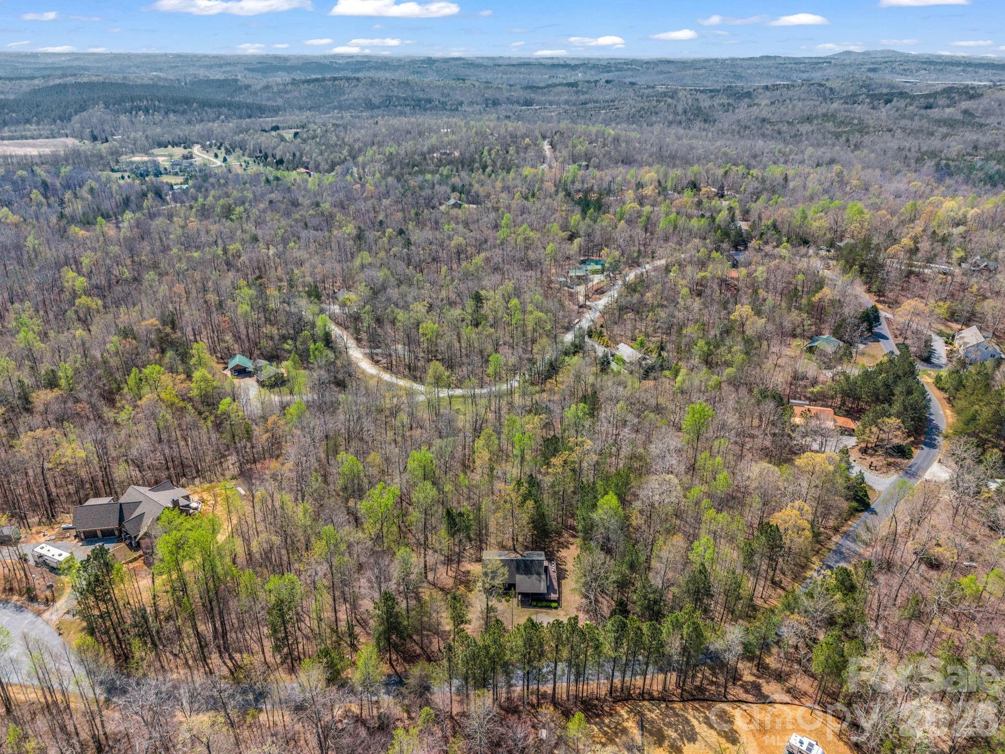 1050 Cross Ridge Drive Rutherfordton, NC 28139 - Photo 45 of 48 a view of a dry yard with trees and bushes