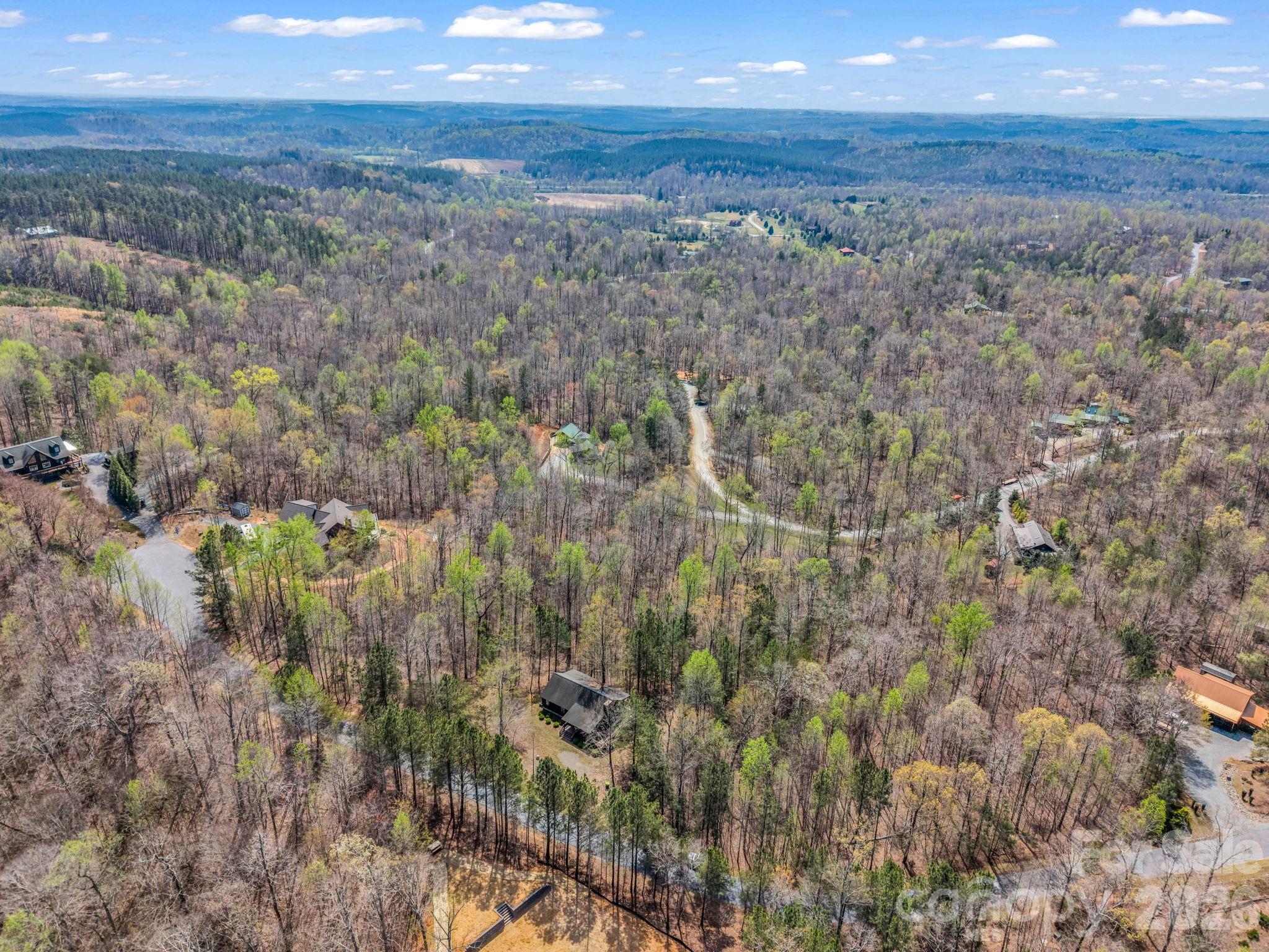 1050 Cross Ridge Drive Rutherfordton, NC 28139 - Photo 46 of 48