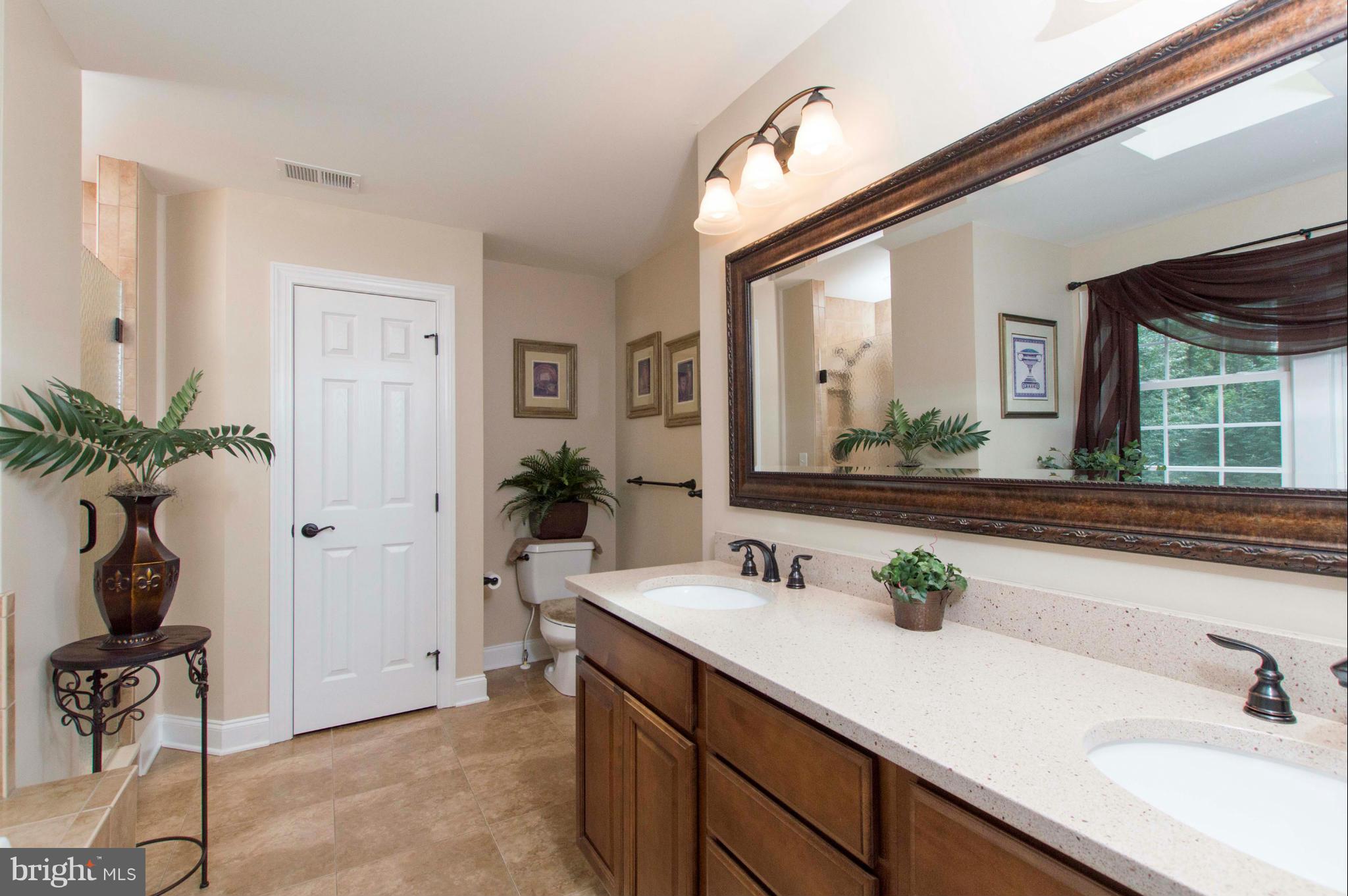 2320 Pleasantville Road Fallston, MD 21047 - Photo 20 of 30 a bathroom with a sink a large mirror and a potted plant