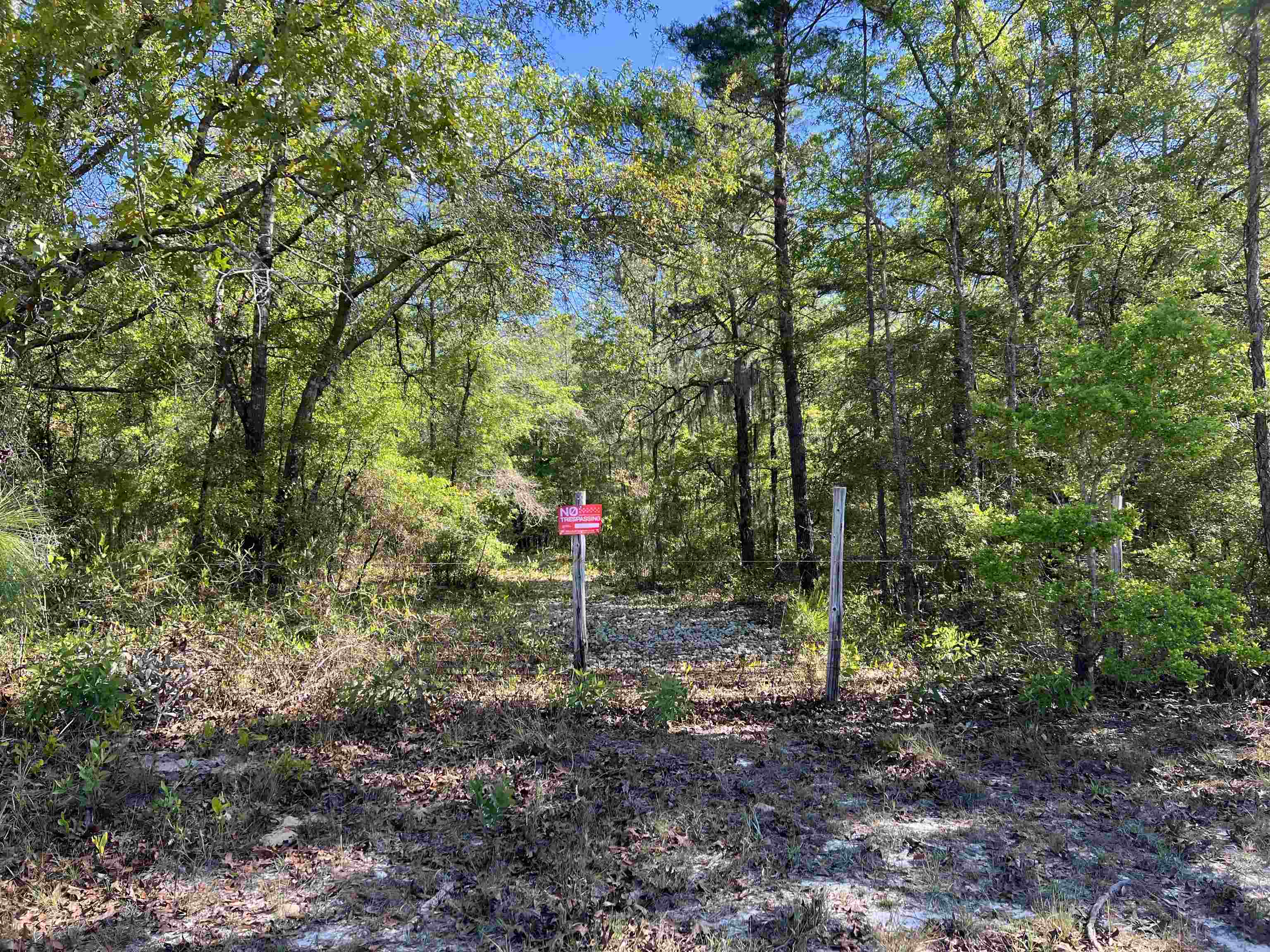 Xx Old Federal Road Quincy, FL 32351 - Photo 4 of 11