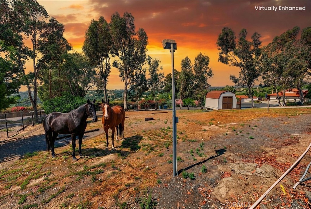 1638 Scooter Lane Fallbrook, CA 92028 - Photo 3 of 69