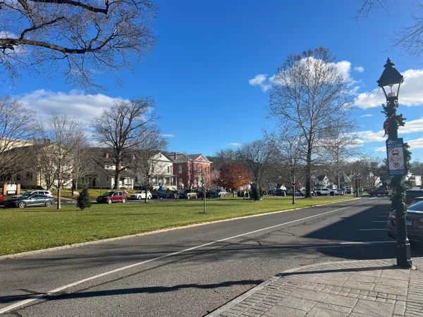 a view of a park with large trees